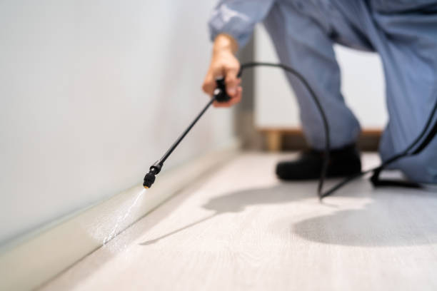 Licensed Termite Control service in Spencer, TN - Show Me Pest Control