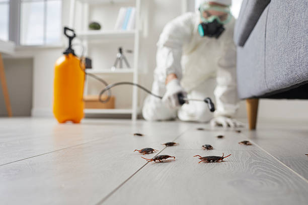 Commercial Rodent Management in Spencer